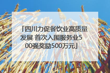四川力促餐饮业高质量发展 首次入围服务业500强奖励500万元